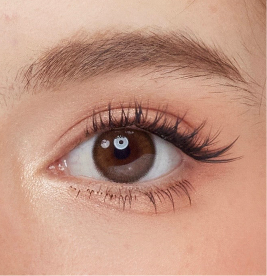 LUXELINE- Catwalk Flick ( Pre - Glued )